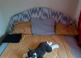 Сдаю в аренду квартиру студию, 12 м2, Череповец, улица Чкалова, 26