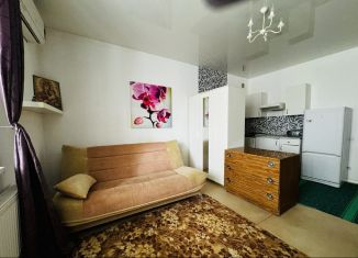 Продается квартира студия, 28 м2, посёлок Российский, улица Ратной Славы, 29