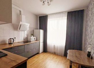 Сдается однокомнатная квартира, 43 м2, деревня Новое Девяткино, Арсенальная улица, 6, ЖК Девяткино