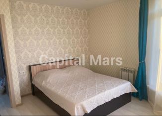 Сдается двухкомнатная квартира, 42 м2, Сочи, Виноградная улица, 135/10, микрорайон Новый Сочи