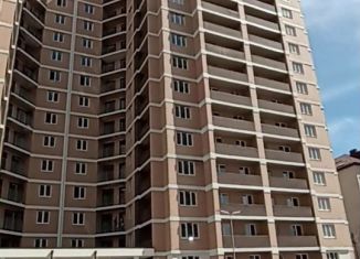 Сдается в аренду помещение свободного назначения, 59.3 м2, Краснодар, улица имени Ф.И. Шаляпина, 30/1к2, микрорайон Завод Радиоизмерительных Приборов