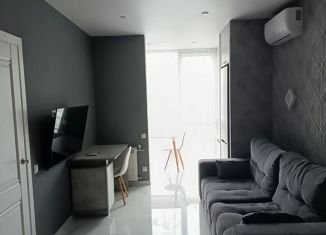 Сдача в аренду 2-ком. квартиры, 44 м2, Сочи, переулок Трунова, 6к1, микрорайон Завокзальный