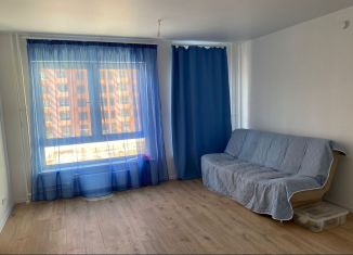 Сдается в аренду квартира студия, 25.1 м2, деревня Новое Девяткино, Главная улица, 8