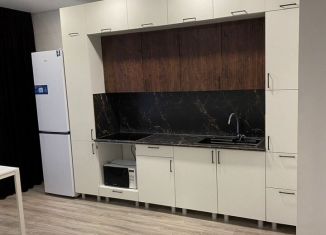 Сдаю двухкомнатную квартиру, 64 м2, Краснодар, Домбайская улица, 55к5, микрорайон ККБ