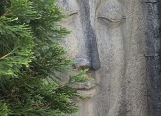 Дом в аренду, 138 м2, Воронеж, переулок Ярослава Белова