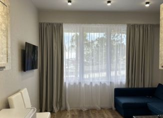 Сдаю в аренду квартиру студию, 26 м2, Сочи, улица Гончарова, 3/1, микрорайон Донская