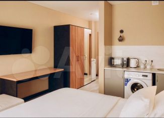 Сдаю квартиру студию, 28 м2, станица Тамань, улица Лебедева, 38