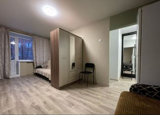 Аренда 1-комнатной квартиры, 30 м2, Нижегородская область, Зелёная улица, 10А