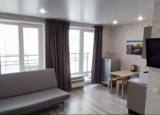 Сдам в аренду квартиру студию, 25 м2, поселок городского типа Стройкерамика, улица Академика Дмитрия Козлова, 9