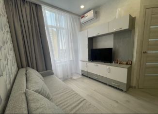 Сдаю 2-ком. квартиру, 38 м2, Сочи, улица Гастелло, 27Бк1, микрорайон Голубые Дали