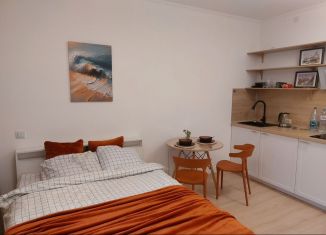 Сдам в аренду квартиру студию, 26 м2, Мурино, Ручьёвский проспект, 20
