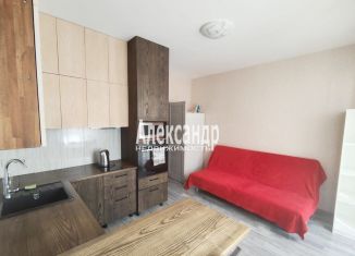 Продаю квартиру студию, 20.1 м2, Санкт-Петербург, улица Крыленко, муниципальный округ № 54