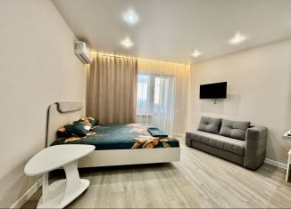 Аренда квартиры студии, 32 м2, Саратов, улица имени В.Н. Симбирцева, 40