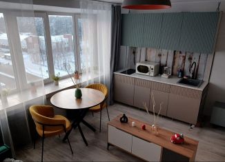 Сдаю квартиру студию, 24 м2, Нефтекамск, улица Ленина, 58