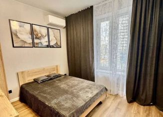 Сдается в аренду 1-ком. квартира, 38 м2, Краснодар, Воронежская улица, 47/14, микрорайон Черемушки