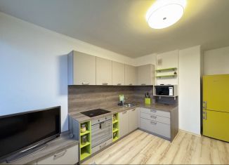 1-комнатная квартира в аренду, 48 м2, Екатеринбург, улица Степана Разина, 2, метро Чкаловская