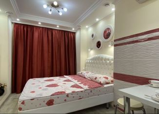 Аренда квартиры студии, 15 м2, Саратовская область, улица имени Н.В. Гоголя, 99В