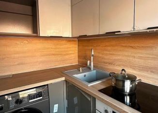 Однокомнатная квартира в аренду, 30.2 м2, Новосибирск, улица Писарева, 4, Центральный район
