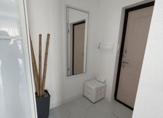 Сдается в аренду 1-комнатная квартира, 50 м2, Сочи, Крымская улица, 89