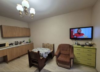 Сдаю квартиру студию, 30 м2, посёлок Шушары, Школьная улица, 17