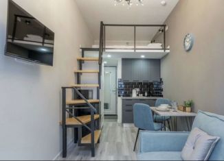 Продажа квартиры студии, 21 м2, Санкт-Петербург, Садовая улица, 44, метро Сенная площадь