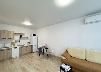 1-ком. квартира в аренду, 38 м2, Тюмень, улица Тимофея Чаркова, 87, Ленинский округ
