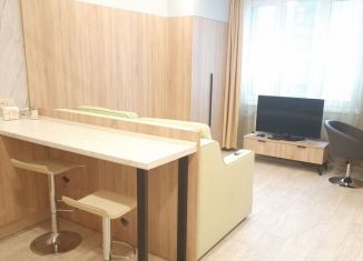 Сдаю в аренду квартиру студию, 25 м2, Ленинградская область, улица Шоссе в Лаврики, 95