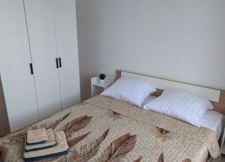 Сдам в аренду 1-ком. квартиру, 35 м2, посёлок Шушары, Колпинское шоссе