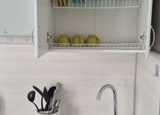 Сдается 1-ком. квартира, 40 м2, Бор, улица Луначарского, 216к1