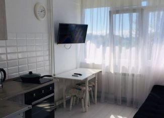 Сдается квартира студия, 20 м2, Сочи, улица Тимирязева, 8, микрорайон Донская