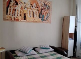 Квартира в аренду студия, 26 м2, Санкт-Петербург, Плесецкая улица, Приморский район