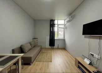 Сдам квартиру студию, 27 м2, Сочи, Каспийская улица, 32А