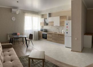 Сдача в аренду двухкомнатной квартиры, 60 м2, Ростов-на-Дону, улица Черепахина, 212