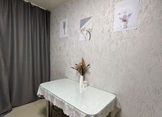 Сдается 1-ком. квартира, 45 м2, Саратов, улица имени Н.М. Тулайкова, 1/3