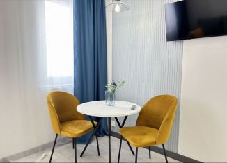 Сдается в аренду квартира студия, 26 м2, Новосибирская область, улица Кирова, 242