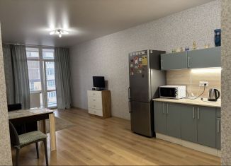Сдаю однокомнатную квартиру, 50 м2, Краснодар, Степная улица, 1/1