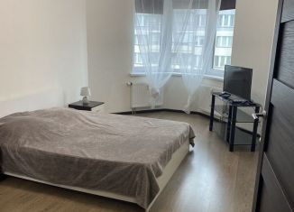 Аренда однокомнатной квартиры, 36 м2, Санкт-Петербург, улица Лётчика Лихолетова, 14к2, метро Проспект Ветеранов