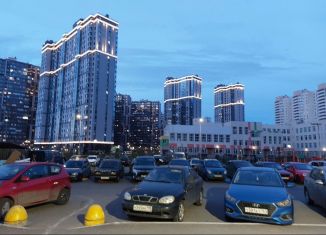 Аренда квартиры студии, 30 м2, посёлок Шушары, Новгородский проспект, 2к1