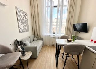 Квартира в аренду студия, 35 м2, Санкт-Петербург, улица Отважных, 10, муниципальный округ Урицк