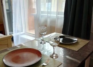 Сдаю квартиру студию, 26 м2, Челябинск, улица Дмитрия Неаполитанова, 48, Советский район