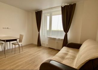 Аренда квартиры студии, 25 м2, посёлок Шушары, Московское шоссе, 262к1