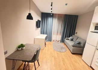Сдача в аренду квартиры студии, 26.5 м2, Санкт-Петербург, дорога на Турухтанные Острова, 5к1, Кировский район