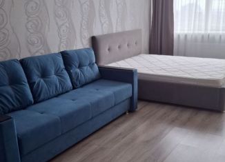 Сдается в аренду однокомнатная квартира, 43 м2, Ростов-на-Дону, Гвардейский переулок, 13