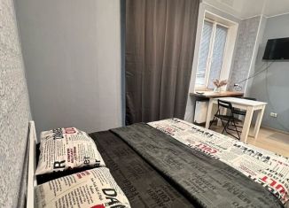 Сдаю квартиру студию, 28 м2, Мурино, Петровский бульвар, 12к2
