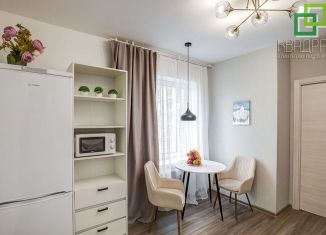 Продам двухкомнатную квартиру, 34.9 м2, Санкт-Петербург, Ивинская улица, 11, метро Беговая