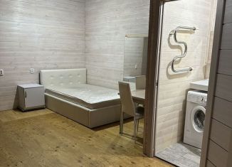Сдаю квартиру студию, 26 м2, Сочи, улица Верхняя Лысая Гора, 10/12