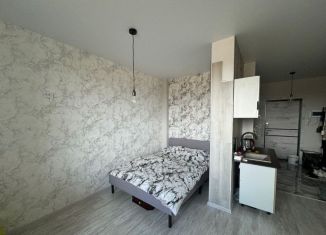 Продам квартиру студию, 24.7 м2, Шелехов, 3-й микрорайон, 46