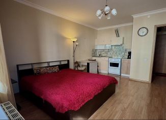 Продажа квартиры студии, 29 м2, Кудрово, Европейский проспект, 13к6, ЖК Прогресс