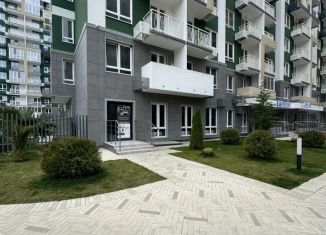 Аренда помещения свободного назначения, 63.8 м2, Сочи, улица Искры, 66/9к1, микрорайон Кудепста