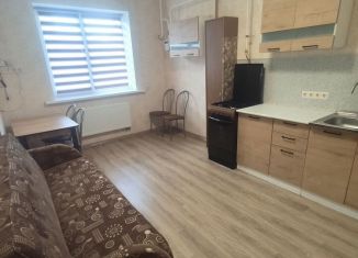 Аренда 1-комнатной квартиры, 40.4 м2, деревня Зверево, улица Генерала Донскова, 29к1